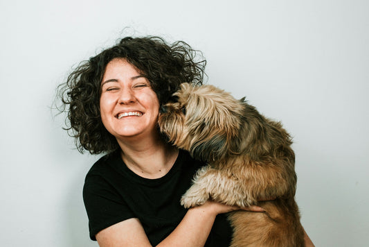 How to Keep Your Dog or Cat Happy and Active Indoors