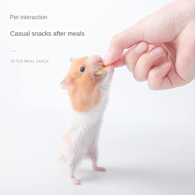 Hamster, Hedgehog, Lizard, Frog, Bird, Hedgehog, Snack, Nutritious, Food for Small Animals