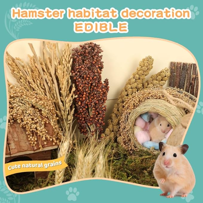 Hamster Spray Set - Natural Snack Grains & Chew Toys for Cage Decoration Accessories, Soft Bedding for Dwarf Syrian Hamsters, Gerbils, Mice & Small Pets