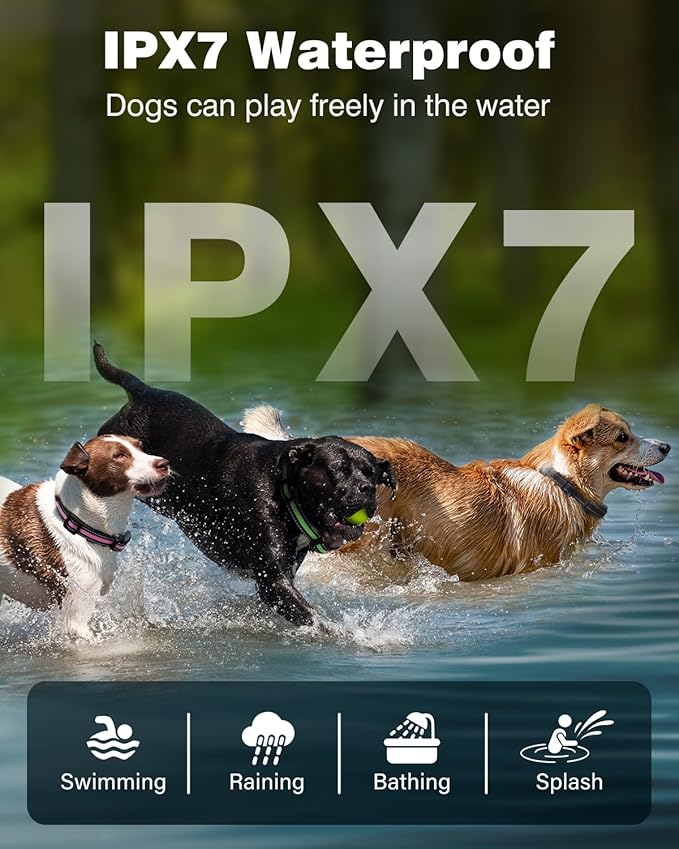 3 Dogs Training Collar with Remote 3 Pack - 3300FT Rechargeable, IPX7 Waterproof Dog Training Collar with Fashlight, E Collar for Small Medium Large Dogs(5-150lbs) - 4 Training Modes, Adjustable Strap