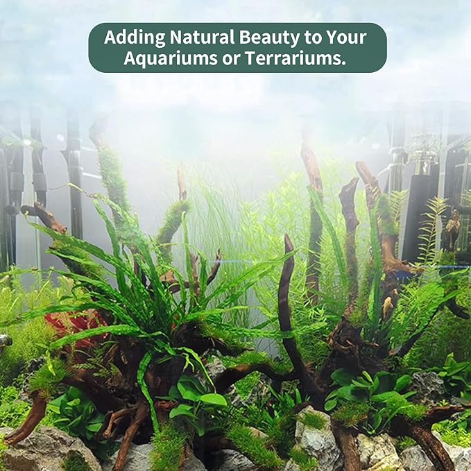 Hamiledyi 24 Pcs Small Driftwood for Aquarium 3"-5" Driftwood Branches Aquarium Decoration Reptiles Reptile Tank Accessories Assorted Size Natural Habitat Decor Wood for Lizad