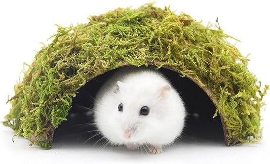 Hamster Hideaway/Hideout,Mossy Cave Hide,Hamster House/Hides,Hamster Cage Accessories for Gguinea Pig/Hedgehogs/Gliders/Rats/Mice and Other Small Animals (Small)