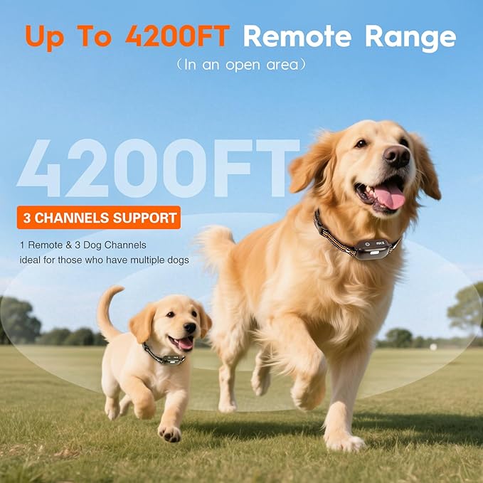 3 Dog Shock Collar with Remote,4200FT Dog Training Collar with Battery Display, 4 Trainning Modes,Rechargeable Electric Dog Collar for Large Medium Dogs (15-120Lbs) with Flash Light