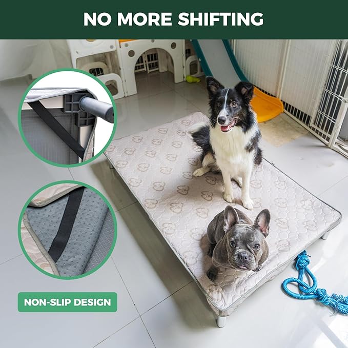 FXW TitanNest Chew-Proof Elevated Dog Bed, Raised Cot for Indoor/Outdoor/Camping Use, Durable & Waterproof Cooling Pet Bed with Exclusive Cover for Extra-Small Dogs, 30.0" L x 22.0" W x 4.5" H, Black