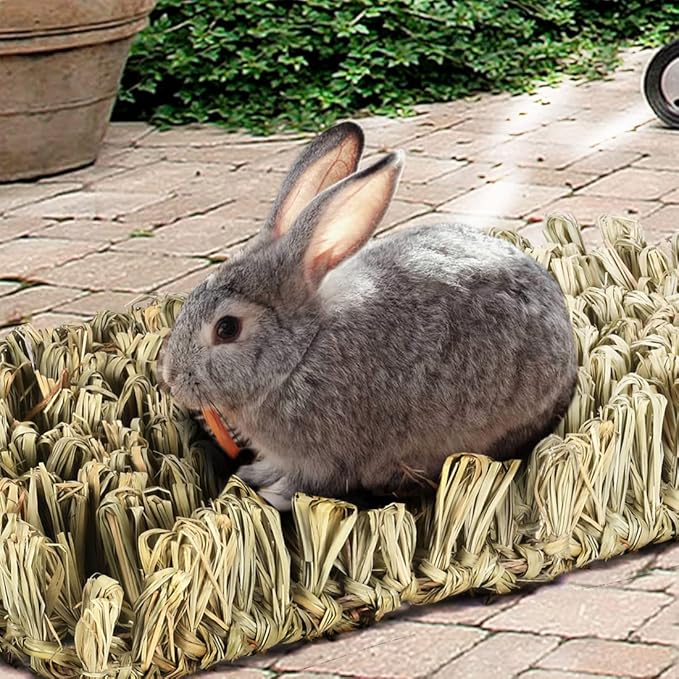 Hamiledyi Rabbit Grass Bed Bunny Natural Straw Woven Mat Guinea Pig Hay Mat Chew Mat for Rabbit Guinea Pig Chinchilla Squirrel Hedgehog(10.6x7.5x3.5inches)
