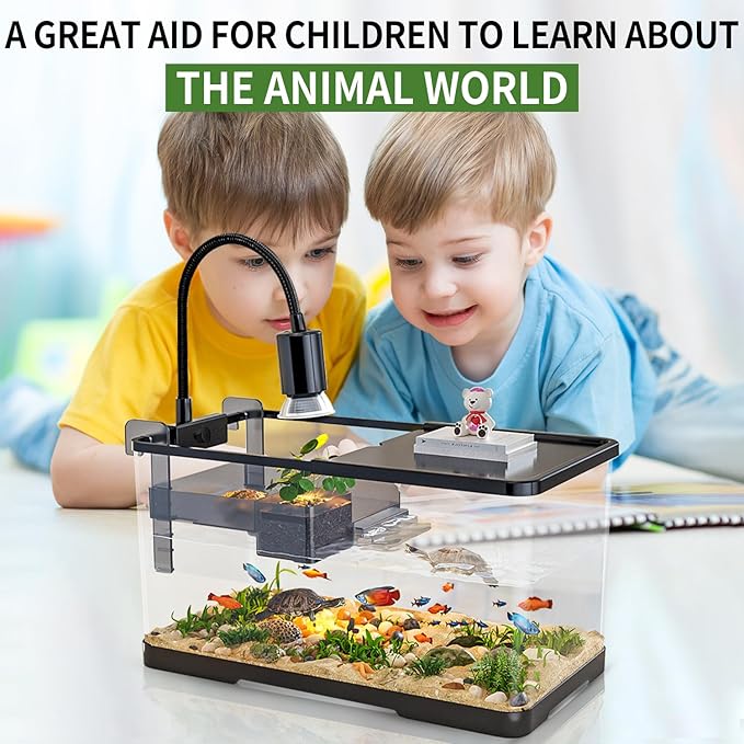 (Tank + Light + Filter Balls) Turtle Tank Kit, Turtle Tank Starter Kit,Bottom Drainage, Multi-Function Areas for Turtles, Crabs,Fishes, Amphibians,Reptiles. (15.75 x 8.64 x 8.64 Inch)