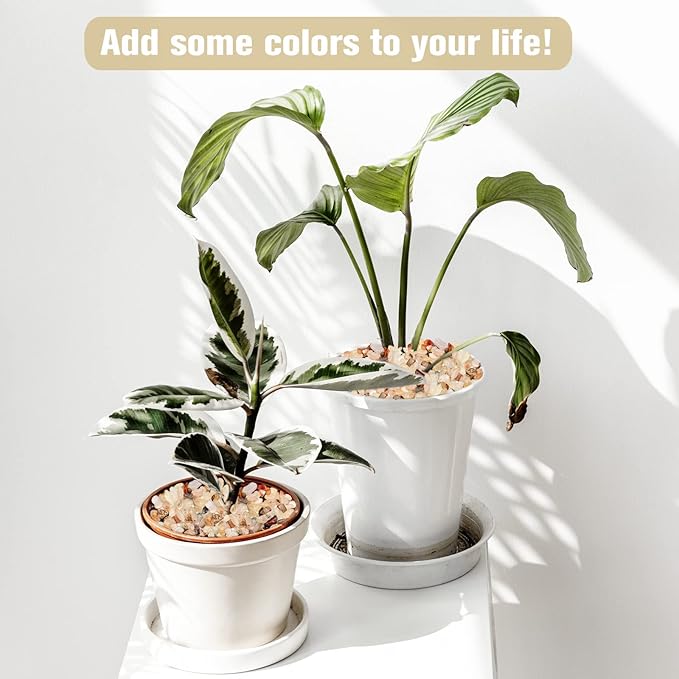 Halatool 1LB Crystal Pebbles 0.27"- 0.79" Natural Landscaping Pebbles Aquarium Gravel Decorative Polished Stone Suitable for Plants Home Decoration DIY Handmade Fish Tanks Vase Filler