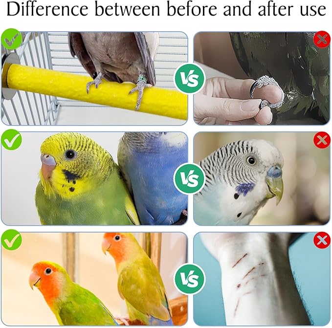 Hamiledy Bird Grinding Perch for Parrots Sand Bird Perches Claw Trim Cage Perches for Parakeets Cockatiels Lovebirds Canaries Green Cheeked Conures and Similarly Sized Birds(8 Pcs 0.78 in Diameter)