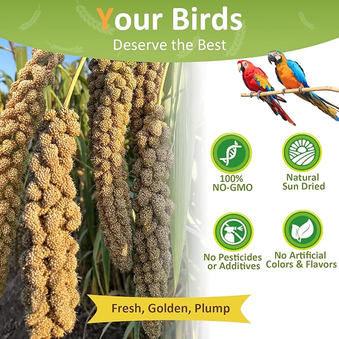 2LB Millet Spray for Birds Parakeets Treats - All Natural Sun-Dried Spray Millet for Parakeets, Cockatiel, Budgie, Finches, Parrots, Hamster, 100% Non GMO Dried Fresh Bird Seed