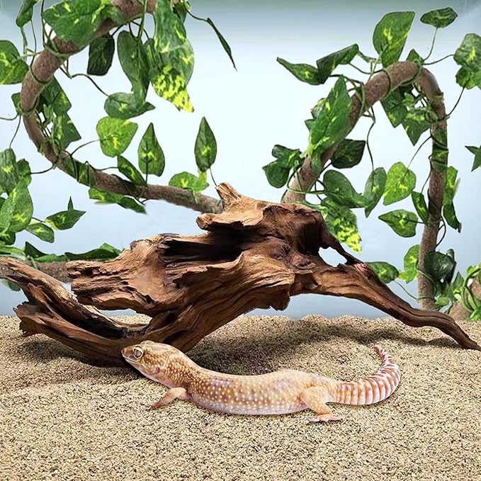 Hamiledyi Reptile Driftwood Decoration Natural Coral Driftwood Branches for Aquarium Reptiles Trunk Log Ornament Bendable Jungle Climbing Vines Decor for Bearded Dragon Lizad Amphibian Fish Tank