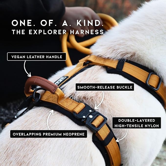 MADE TO ROAM Premium Explorer Harness - Y-Shaped Dog Harness with Adjustable Durable Nylon, Soft Padding, Metal Buckles and Leather Handle for Small, Medium, Large Dogs (Oregon Haze, Size 3)
