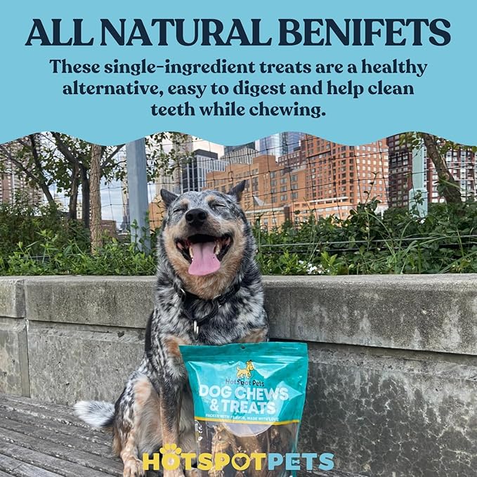Full-Size Cow Hooves for Dogs | (10 Pack) All-Natural Long Lasting Dog Chews | Made from Grass Fed Cattle | Tasty Treat for Oral Hygiene | Fantastic Alternative for Rawhide and Bully Sticks