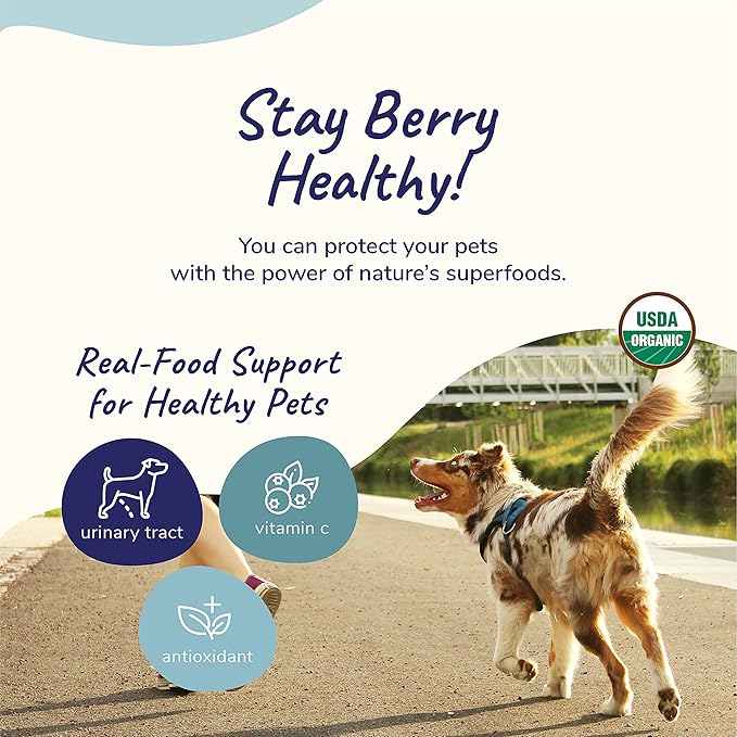 kin+kind Dog Supplement Powder - Supplement for Dogs & Cats for Healthy Immunity - Bladder Support - Natural Formula with Organic Cranberry, Blueberry and Coconut - Made in USA - 4 oz (Medium)