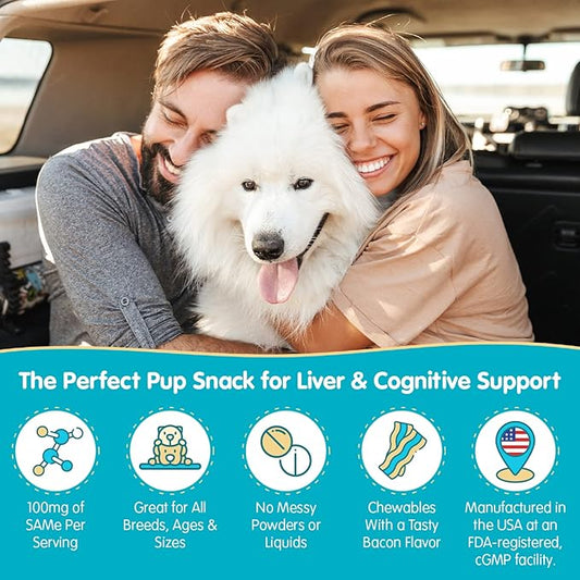 Smart Choices for Pet Health & Wellness: The Rise of Functional Pet Products