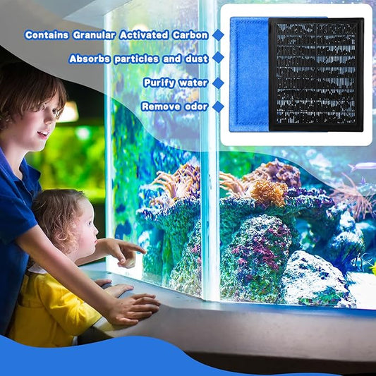 How to Keep Your Fish Tank Crystal Clear Naturally
