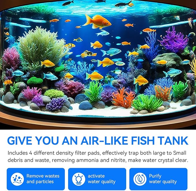 Best Beginner Fish for a Home Aquarium