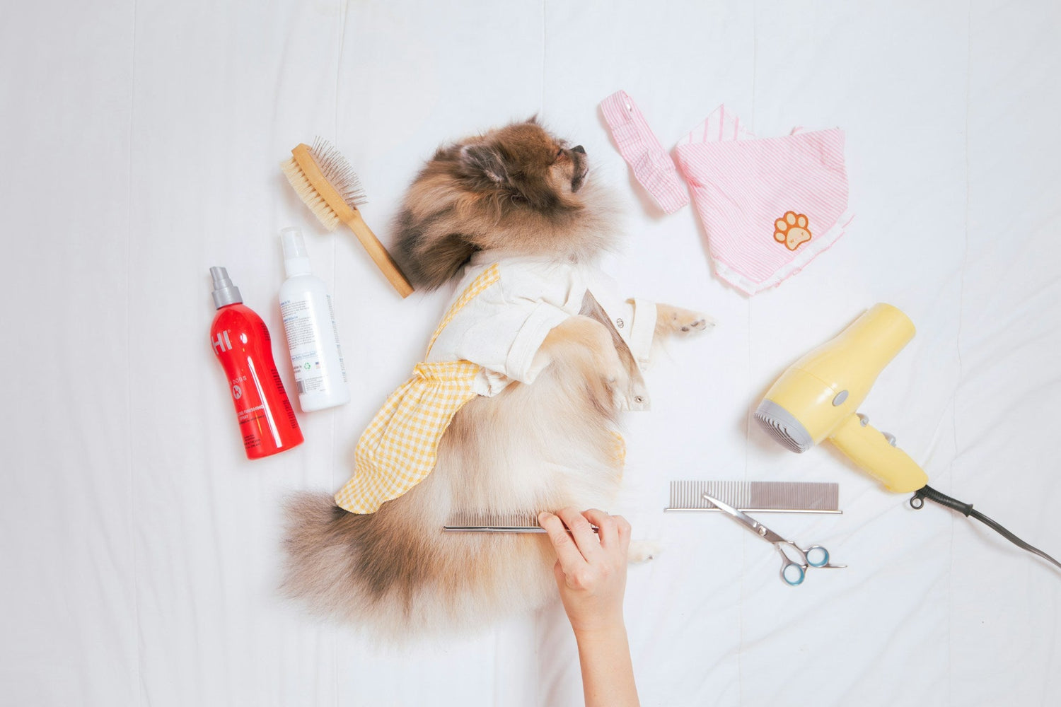 Pet Grooming
