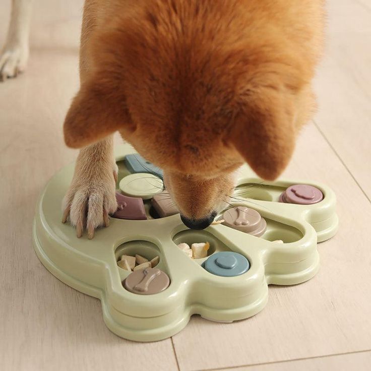 Pet Toys