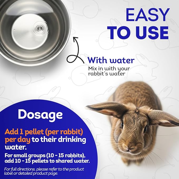 HA4E - Rabbit Gastrointestinal Stasis Treatment - Promotes Healthy Digestion & GI Stasis Relief -Natural Homeopathic Digestive Health Tablets - 300 Count