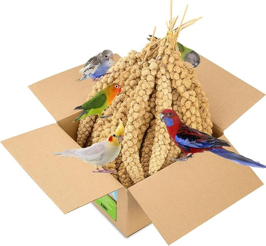 2LB Millet Spray for Birds Parakeets Treats - All Natural Sun-Dried Spray Millet for Parakeets, Cockatiel, Budgie, Finches, Parrots, Hamster, 100% Non GMO Dried Fresh Bird Seed