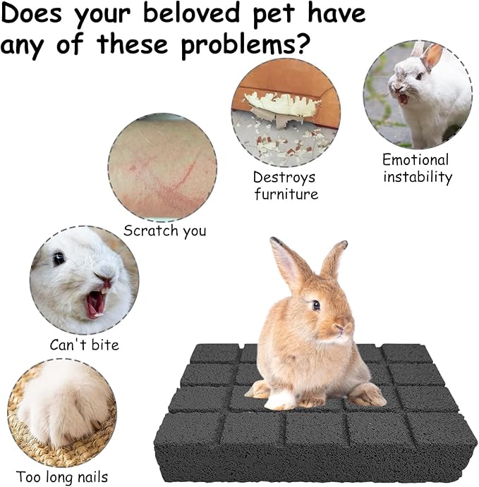 Hamiledyi 10PCS Rabbit Scratching Pads Bunny Lava Grinding Claw Pads Small Animal Foot Pads Hamster Scratch Board Chew Toys for Gerbil Chinchilla Hedgehog Guinea Pig Cage Accessories