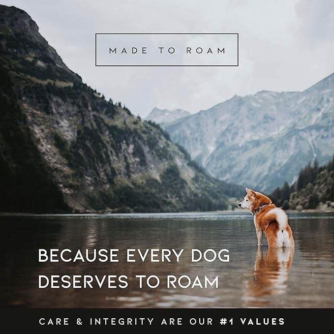 MADE TO ROAM Premium Explorer Harness - Y-Shaped Dog Harness with Adjustable Durable Nylon, Soft Padding, Metal Buckles and Leather Handle for Small, Medium, Large Dogs (Texas Flair, Size 3)