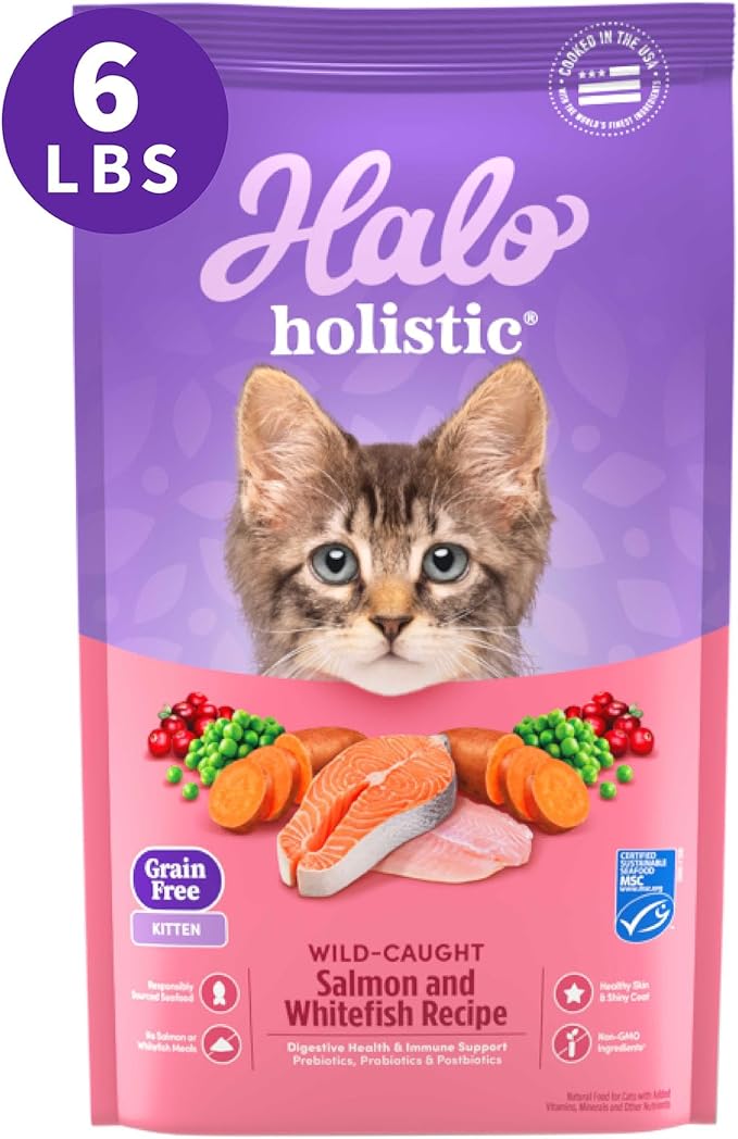 Halo Holistic Kitten Food, Wild Caught Salmon & Whitefish Recipe, Grain Free Dry Cat Food, Complete Digestive Health, 6 lb Bag