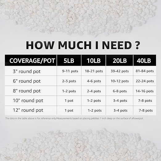 1/5 Inch White Succulent Cactus Gravel, 10 lbs – Ideal for Succulent Plant Pots, Vase Fillers, Glass Containers, Aquariums, Patios, and Outdoor Gardening River Stones (White, 10 Pounds)