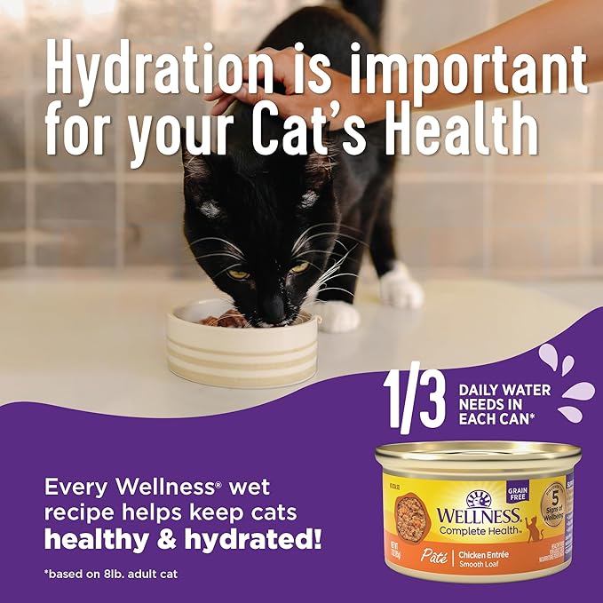Wellness Complete Health Sliced Adult Wet Cat Food, Natural, Protein-Rich, Grain Free, 3 Ounce, 24 Pack, (Salmon Entrée)