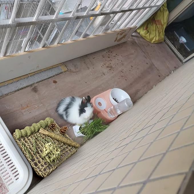 Hamiledyi Rabbit Seagrass Mat Bunny Chew Toys for Teeth Hanging Activity Mat Rabbit Enrichment Activity Mat Small Animal Toys for Hamster Guinea Pigs Gerbil Birds