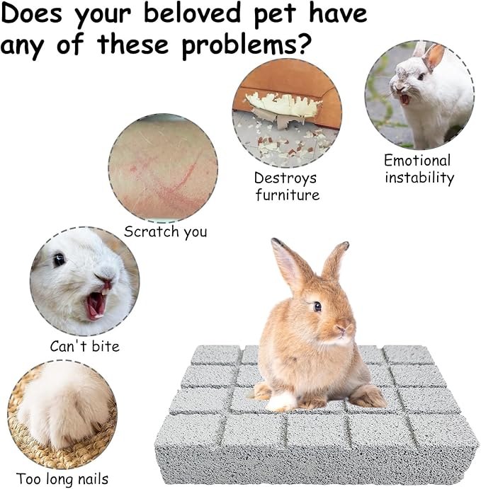 Hamiledyi 10PCS Rabbit Scratching Pad Bunny Lava Grinding Claw Board Small Animal Foot Pad Hamster Chew Toys for Gerbil Chinchilla Hedgehog Guinea Pig Cage Accessories