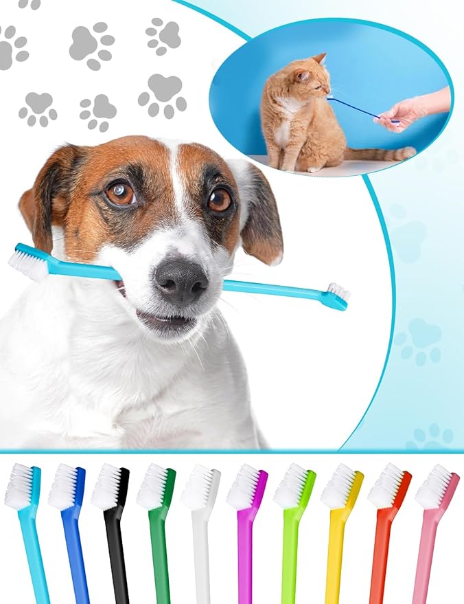10 Pcs Dual-Headed Pet Toothbrush for Dogs & Cats