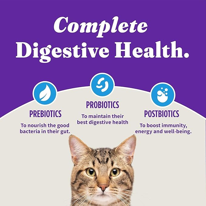 Halo Holistic Cat Food Wild Caught Salmon & Whitefish Formula, Healthy Grains Dry Cat Food, For Sensitive Stomach Support, Kibble for Adult Cats, 6 lb Bag