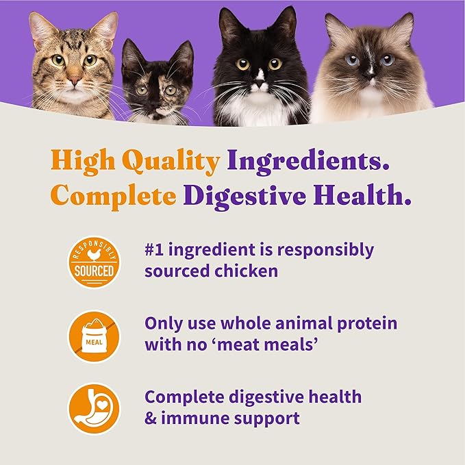 Halo Holistic Cage Free Chicken Cat Food, Grain Free Dry Cat Food, For Healthy Weight Support, Kibble for Indoor Cats, 10 lb Bag