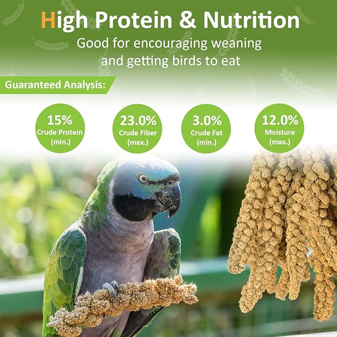 2LB Millet Spray for Birds Parakeets Treats - All Natural Sun-Dried Spray Millet for Parakeets, Cockatiel, Budgie, Finches, Parrots, Hamster, 100% Non GMO Dried Fresh Bird Seed