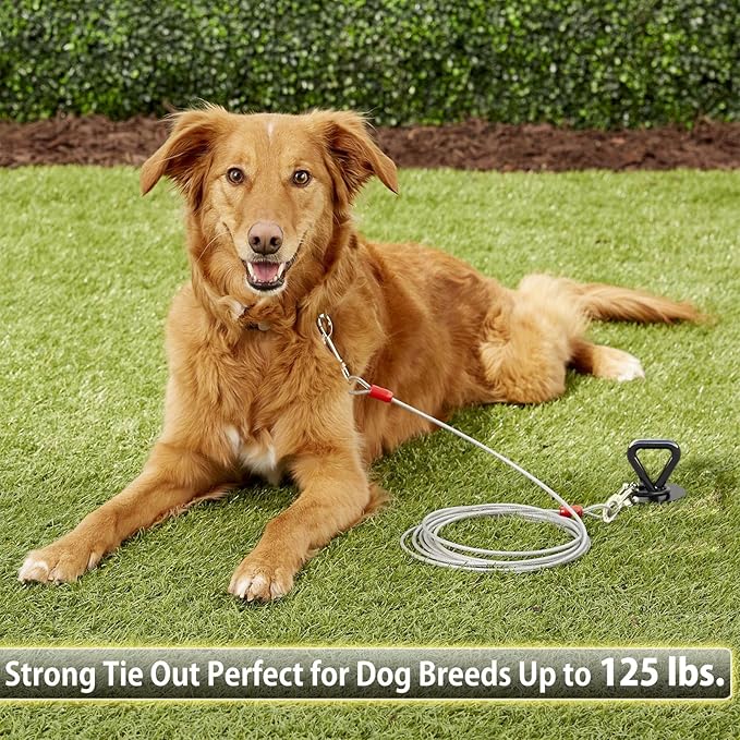 25 ft Dog Tie Out Cable and Stake - Durable & Sturdy Yard Leash and Stake for Small Medium Large Dogs Up to 125lbs No Tangle Dog Leads for Yard Camping Outside (25ft - 125lbs, Black)