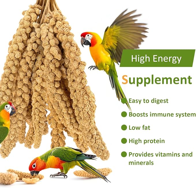 2LB Millet Spray for Birds Parakeets Treats - All Natural Sun-Dried Spray Millet for Parakeets, Cockatiel, Budgie, Finches, Parrots, Hamster, 100% Non GMO Dried Fresh Bird Seed