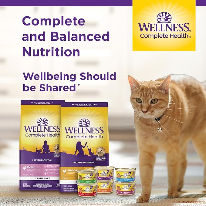 Wellness Complete Health Sliced Adult Wet Cat Food, Natural, Protein-Rich, Grain Free, 3 Ounce, 24 Pack, (Salmon Entrée)