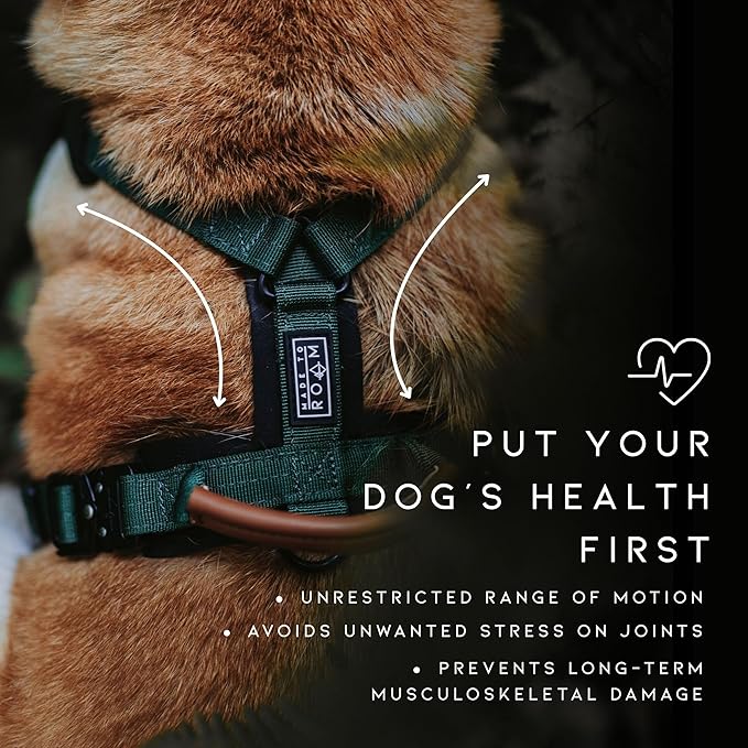 MADE TO ROAM Premium Explorer Harness - Y-Shaped Dog Harness with Adjustable Durable Nylon, Soft Padding, Metal Buckles and Leather Handle for Small, Medium, Large Dogs (Oregon Haze, Size 7)