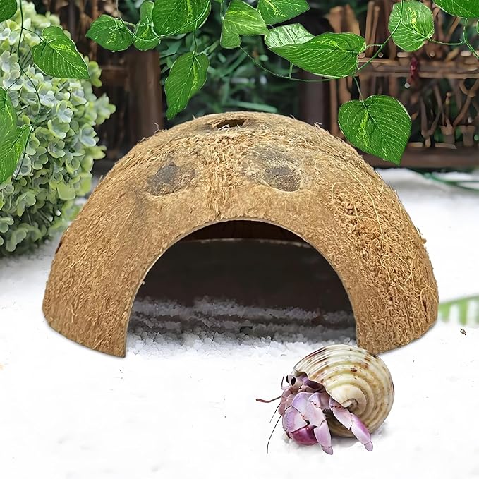 Hamiledyi 7 Pcs Reptile Hideouts Natural Coconut Shells Hut Leopard Gecko Tank Accessories for Hermit Crab Small Snake Tarantulas Lizard Chameleon Small Animal Hide Cave (with Fiber)