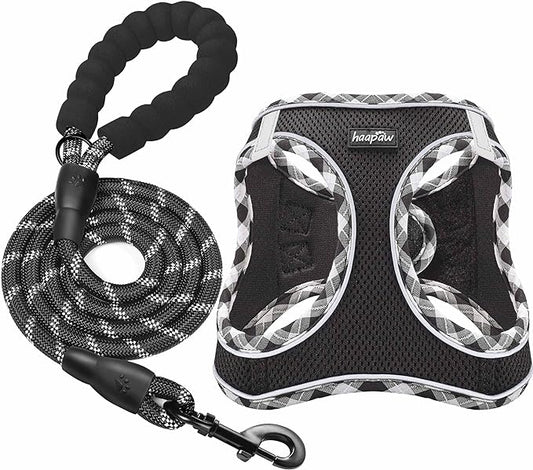 haapaw Dog Harness with Leash Set, No Pull Adjustable Reflective Step-in Puppy Harness with Thickened Padded Vest for Extra-Small/Small Medium Dogs