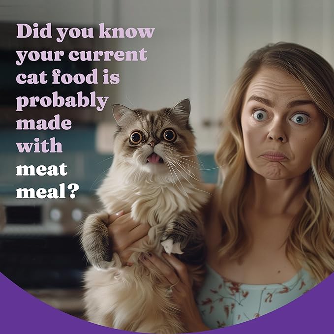 Halo Holistic Cat Food Wild Caught Salmon & Whitefish Formula, Healthy Grains Dry Cat Food, Complete Digestive Health, Kibble for Adult Cats, 6 lb Bag