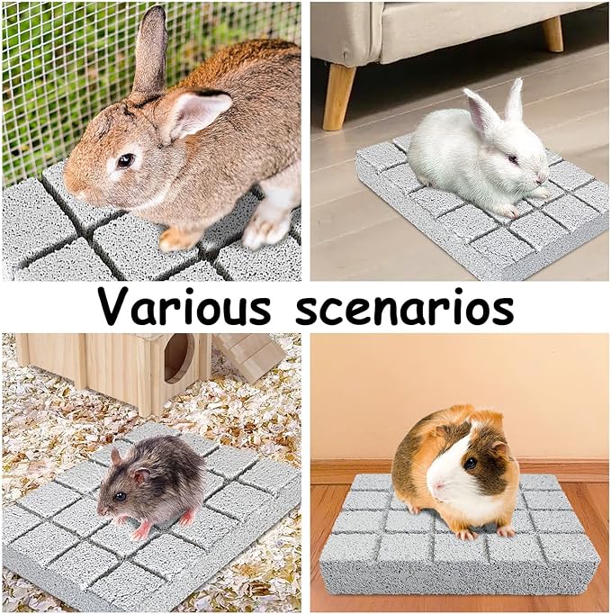 Hamiledyi 6PCS Rabbit Scratching Pads Bunny Lava Grinding Claw Pads Small Animal Foot Pads Hamster Scratch Board Chew Toys for Gerbil Chinchilla Hedgehog Guinea Pig Cage Accessories