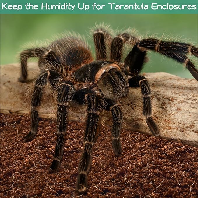 Halatool 4Pack Coconut Fiber Substrate Natural Premium Coco Coir Terrarium Aquarium Substrate for Reptile Tank Tortoise Habitat Beard Dragon Leopard Gecko Snake Tarantula Worm Bins Hermit Crab Snake