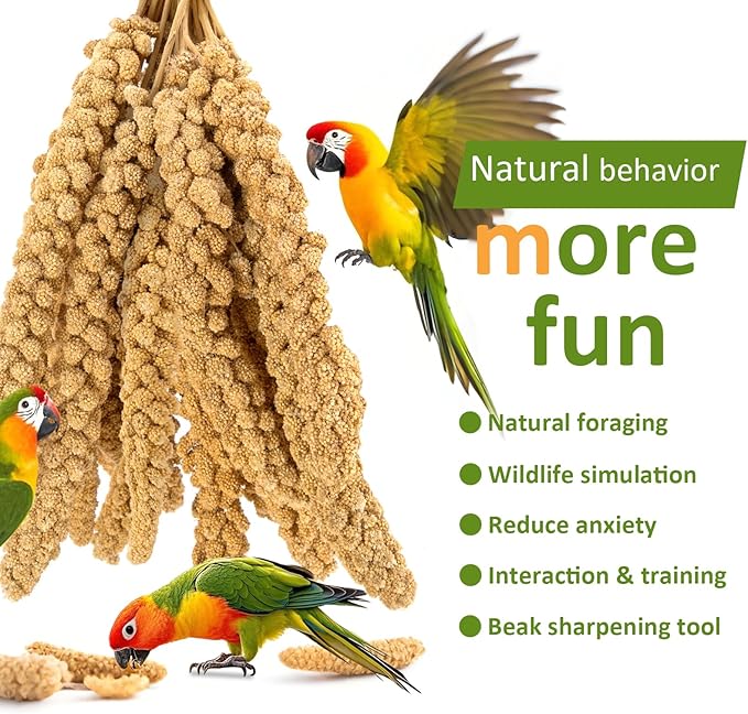 2LB Millet Spray for Birds Parakeets Treats - All Natural Sun-Dried Spray Millet for Parakeets, Cockatiel, Budgie, Finches, Parrots, Hamster, 100% Non GMO Dried Fresh Bird Seed