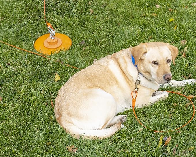 20FT Tie-Out Cables for Dogs - Strong, Safe, and Durable Dog Tie-Outs for Small Dogs up to 90 Pounds - Weather and Wear Resistant Galvanized Aircraft Cable for Outside Use